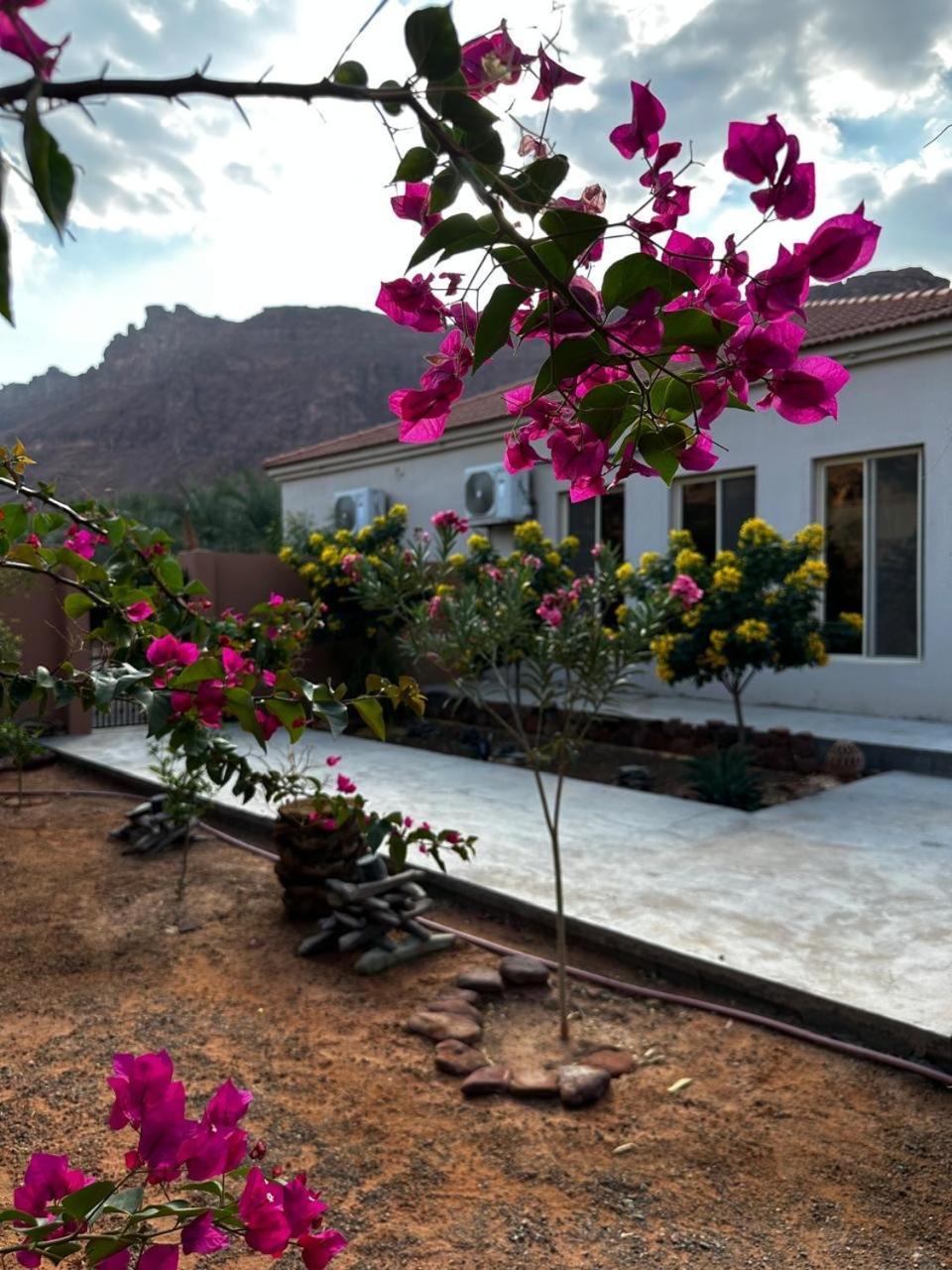 فيلا بمزرعة Al-'Ula Exterior foto